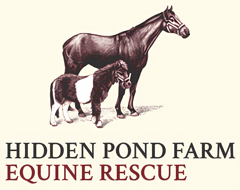 Hidden Pond Farm Equine Rescue