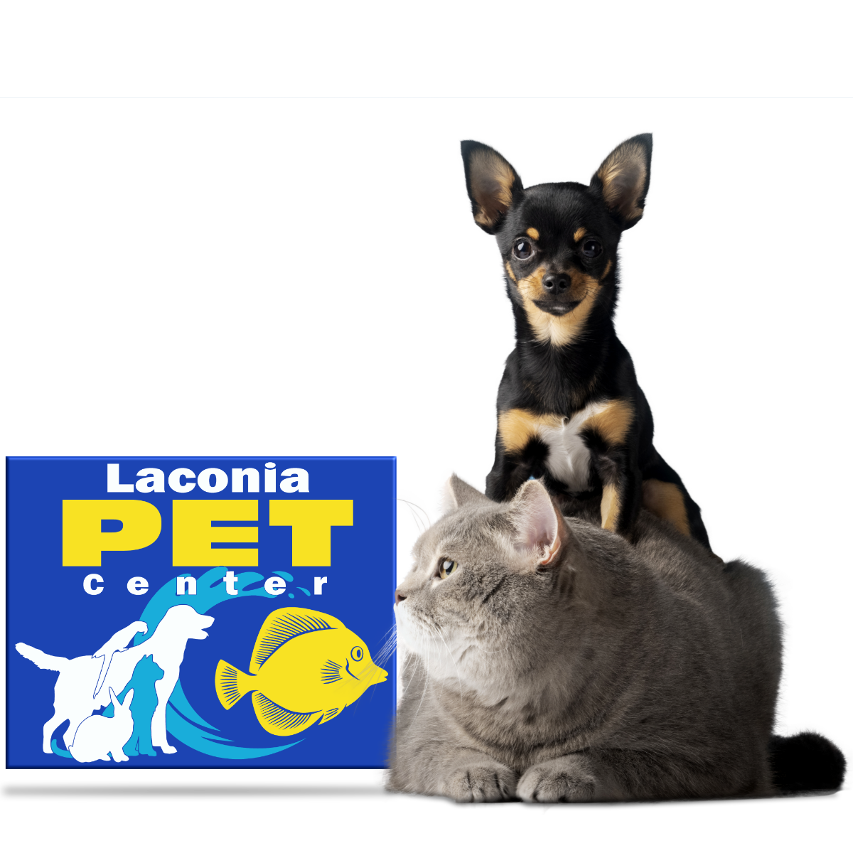 Laconia Pet