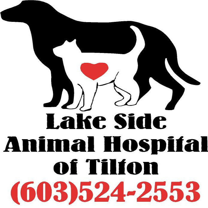 Lake Side Animal Hospital Tilton NH